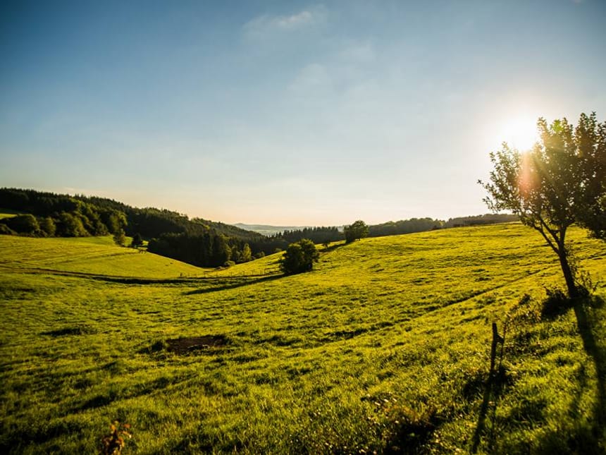 Umgebung der Vulkaneifel