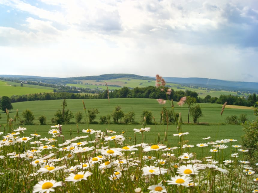 Schwartenberg umgeben von Wiesen und Blumen